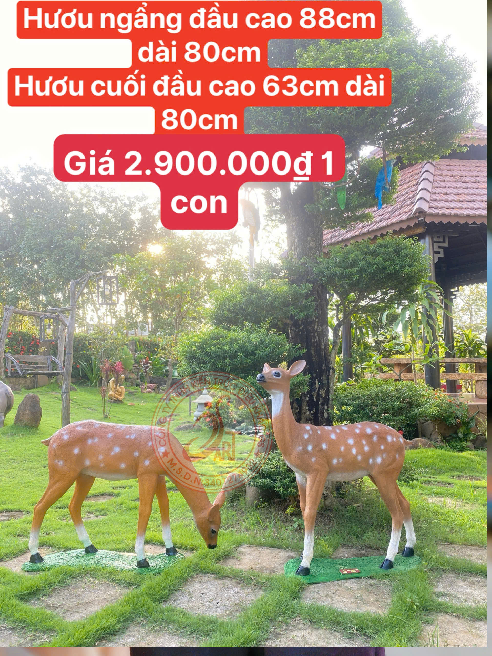 z7848453662781_371c53bde8e89eaca74237d6d82d2931 z7848453662781_371c53bde8e89eaca74237d6d82d2931