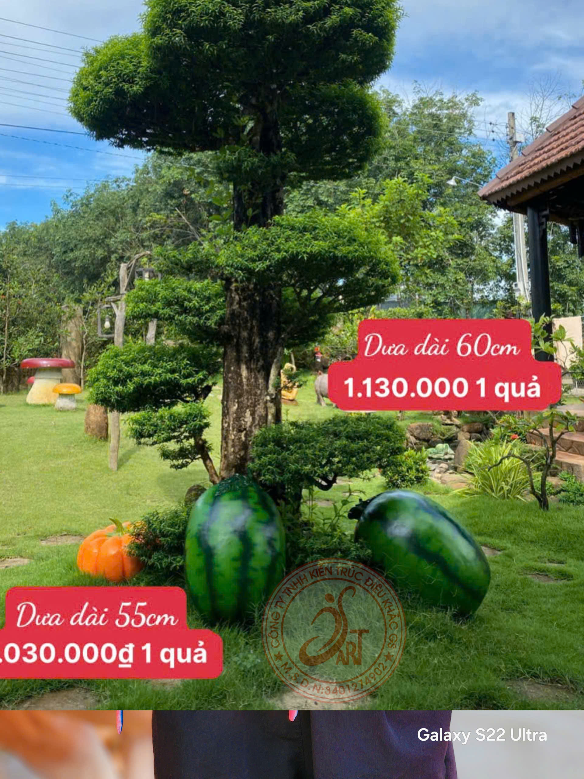 QUẢ DƯA HẤU DECOR SÂN VƯỜN QUẢ DƯA HẤU DECOR SÂN VƯỜN